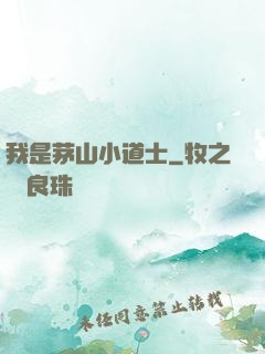 我是茅山小道士
